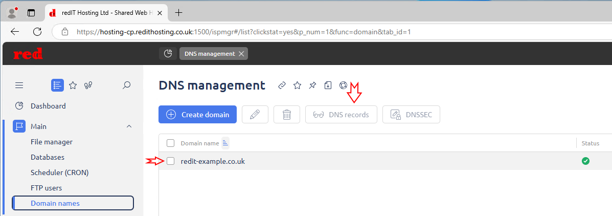 Hosting Control Panel Steps to DNS Records highlighted