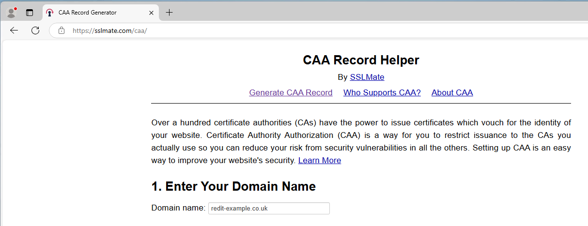 SSL Mate CAA Page Step 1