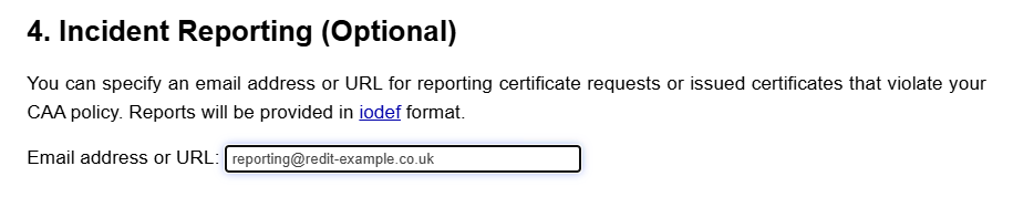 SSL Mate CAA Page Step 4