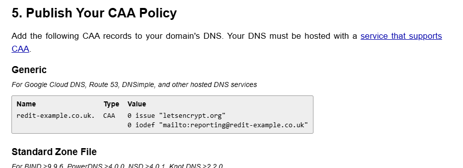 SSL Mate CAA Page Step 5